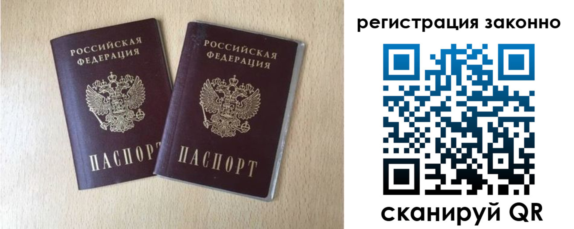 прописка поиск в Кингисеппе